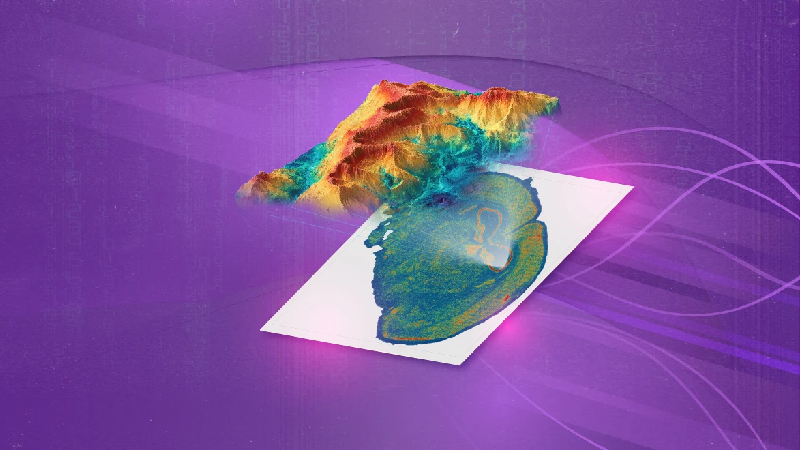 Software - STOmics