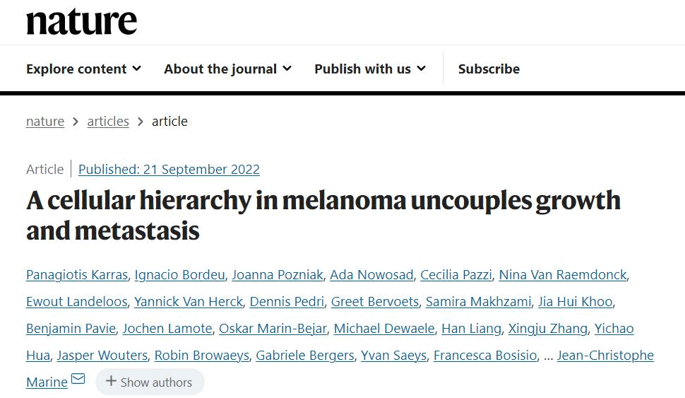 1686418993531 截图