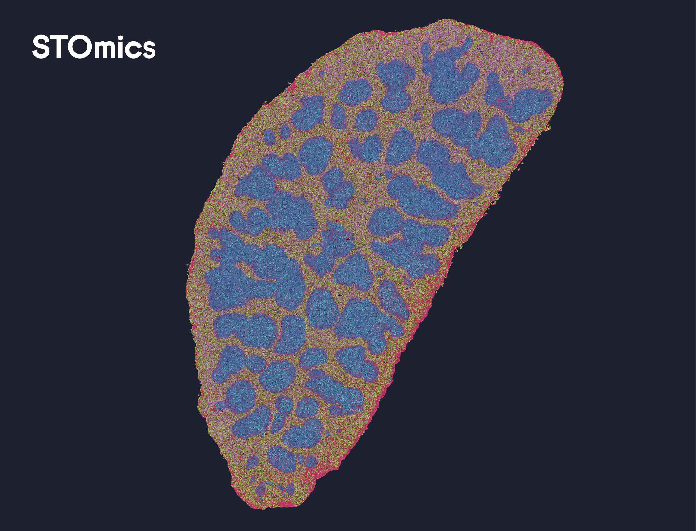 Mouse spleen demo data