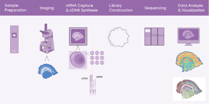 Tissue to Data End-to-end Solution