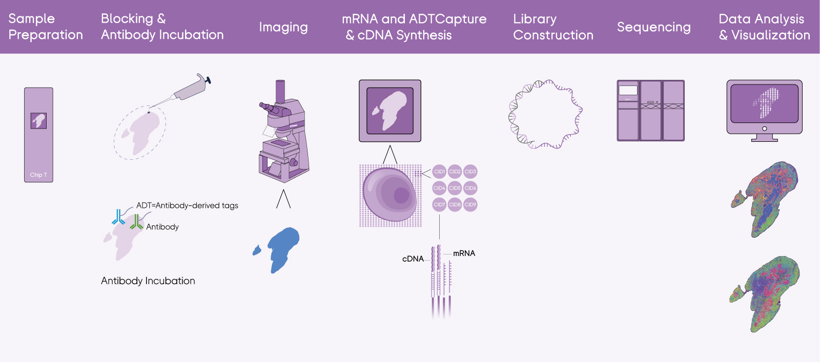 Tissue to Data End-to-end Solution