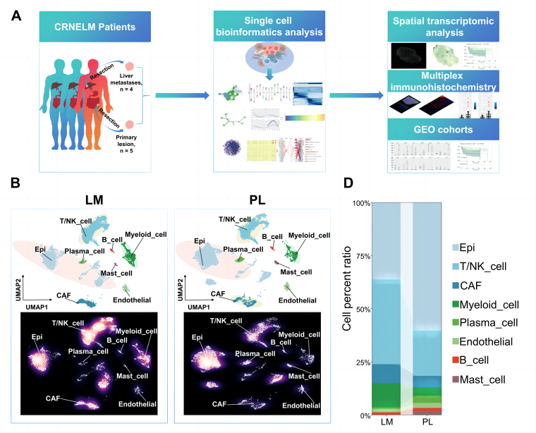 Integrating Single-Cell and Spatial Transcriptomics to Decipher TME ...