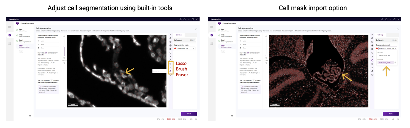 Stereo-seq Image Processing: Troubleshooting Common Analysis Challenges ...