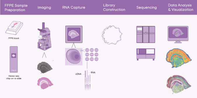 Tissue to Data End-to-end Solution