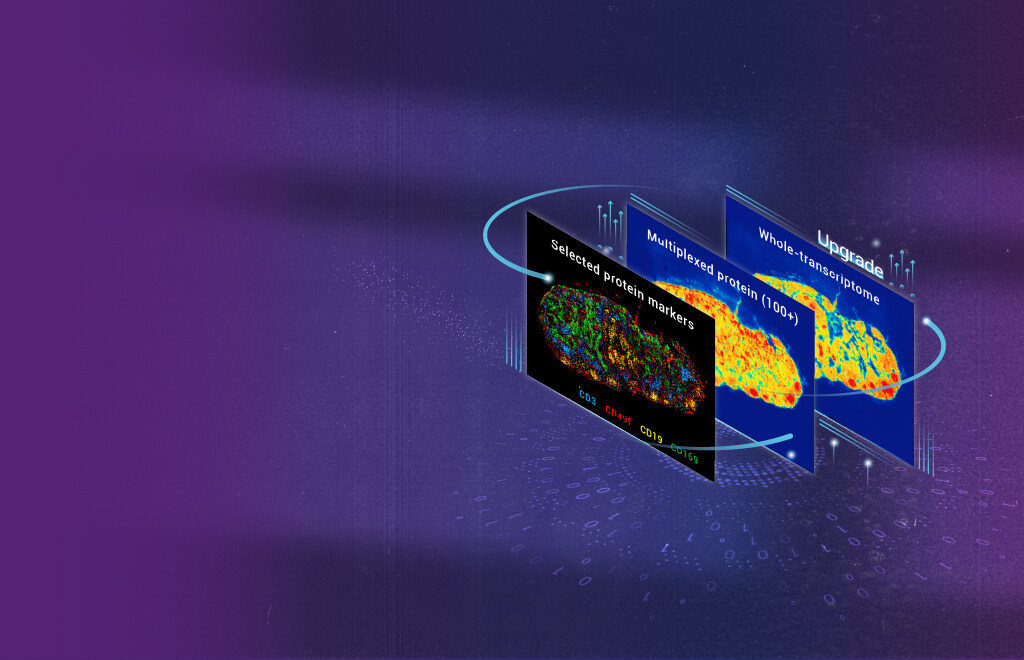 Stereo-CITE Proteo-Transcriptomics Solution