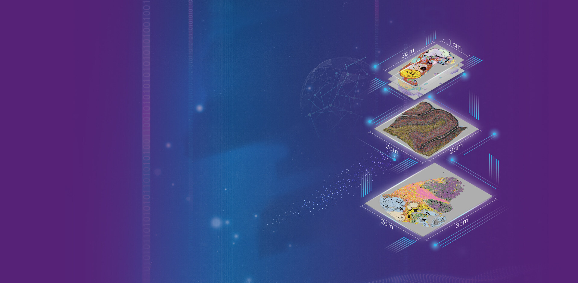 Stereo-seq Transcriptomics Set for Large Chip Designs