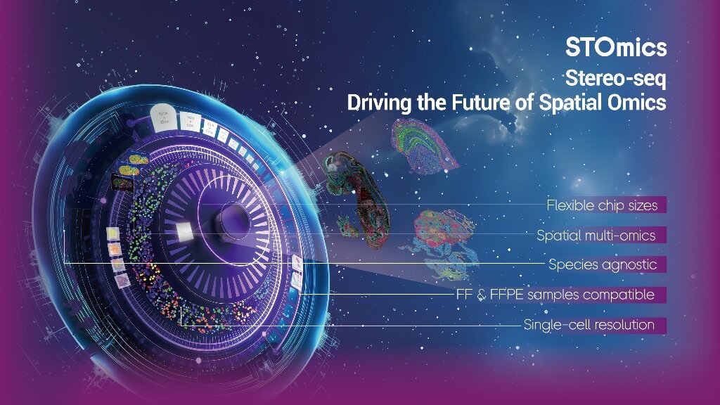 STOmics Newsletter: Edition 05-07.2025