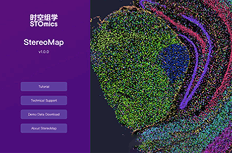 StereoMap