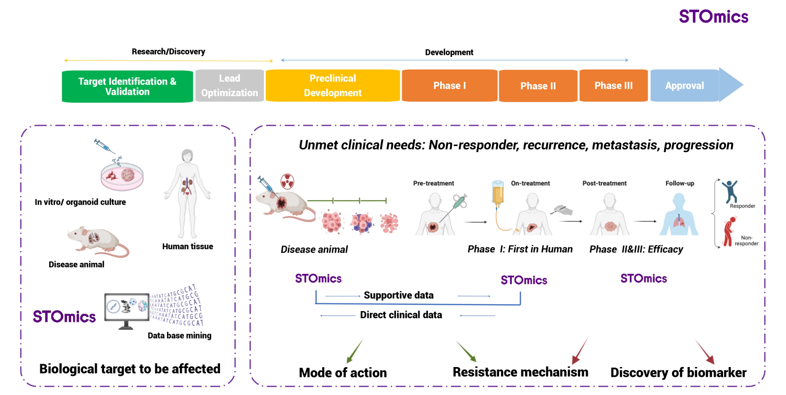 STOmics | the world's leading spatial multi-omics product set - STOmics