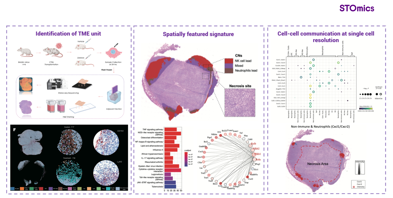 STOmics | the world's leading spatial multi-omics product set - STOmics