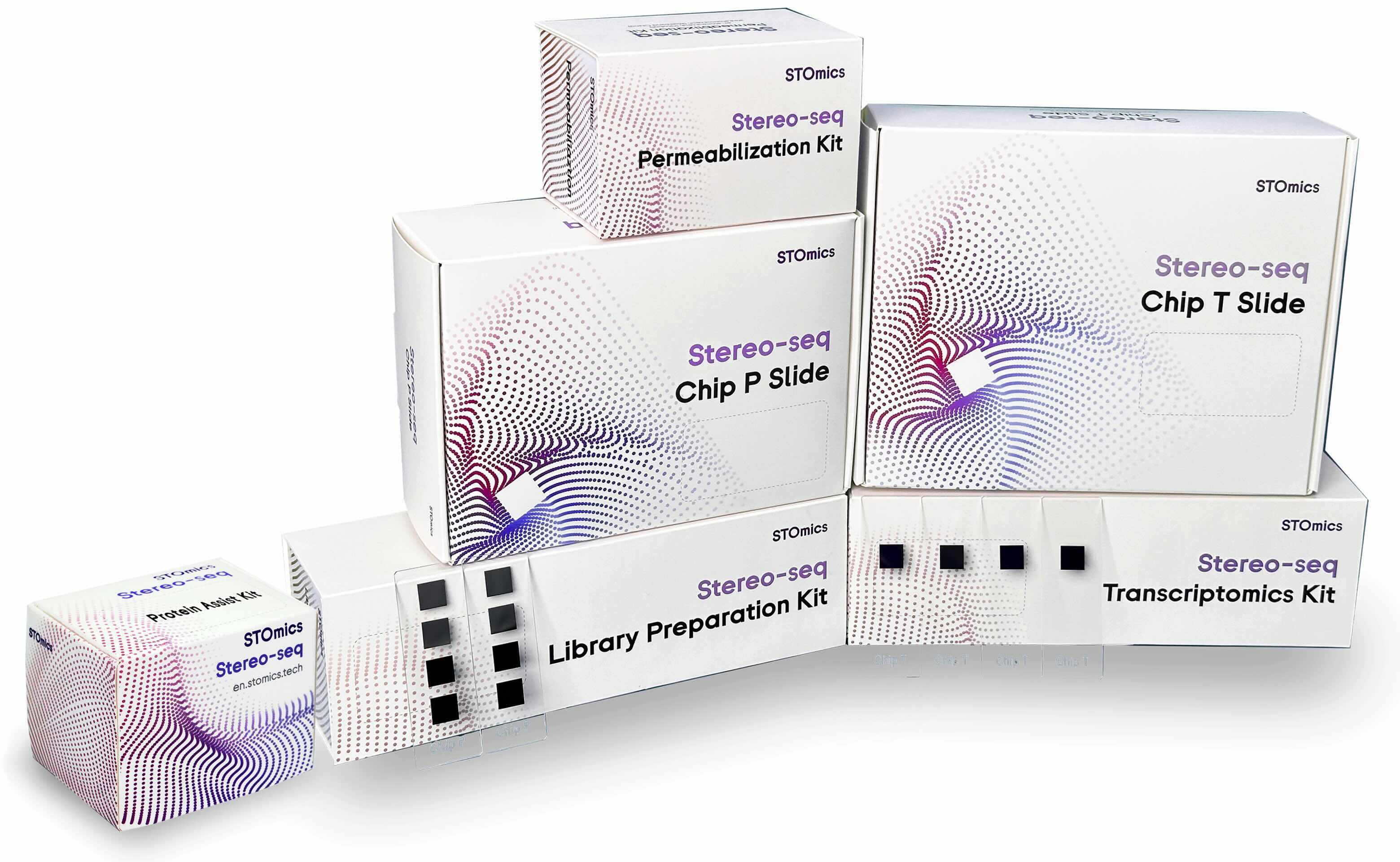 iShot_2025-12-31_15.02.07