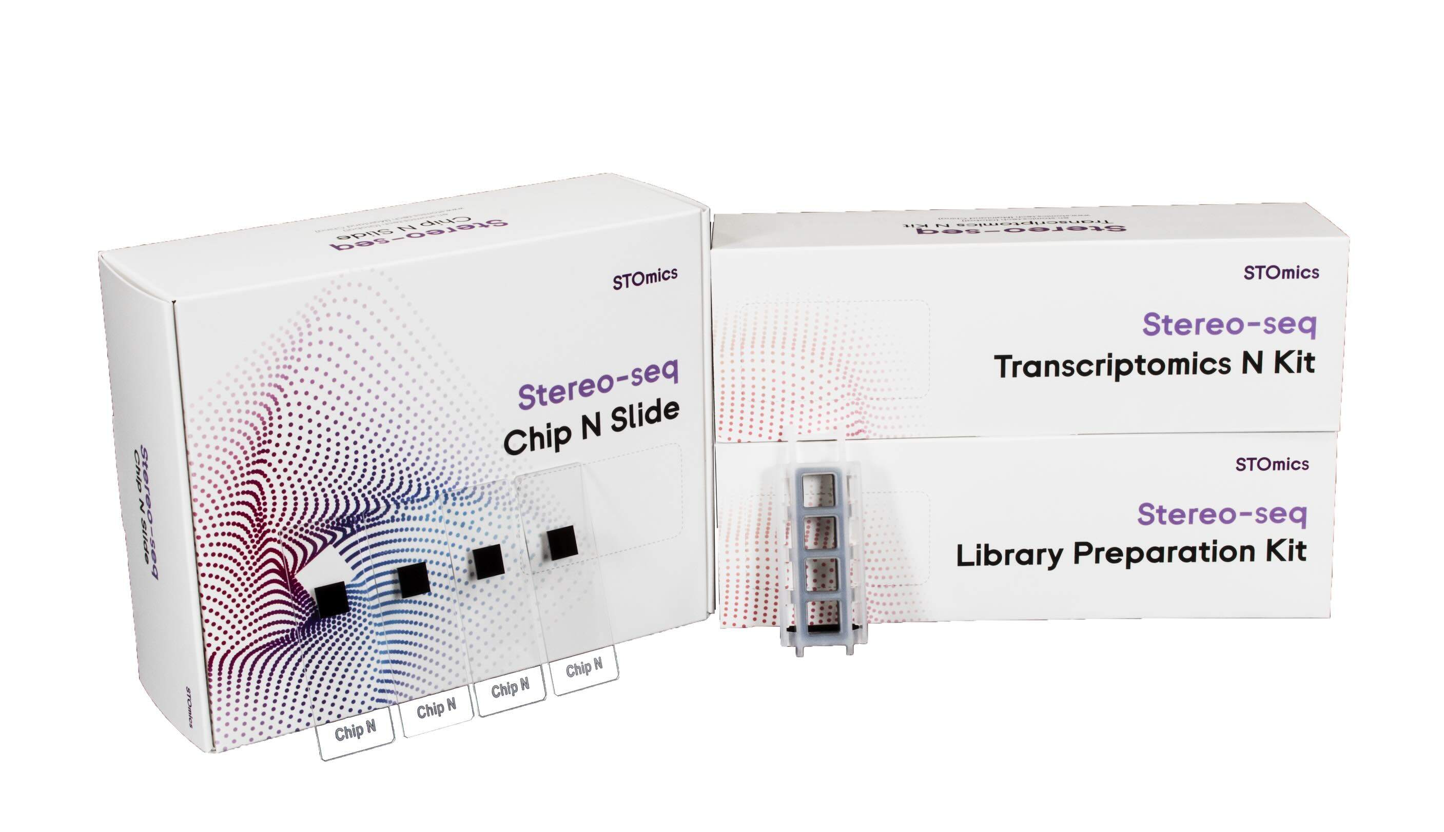 iShot_2025-12-31_15.06.37