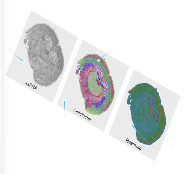 iShot_2026-01-07_17.27.23