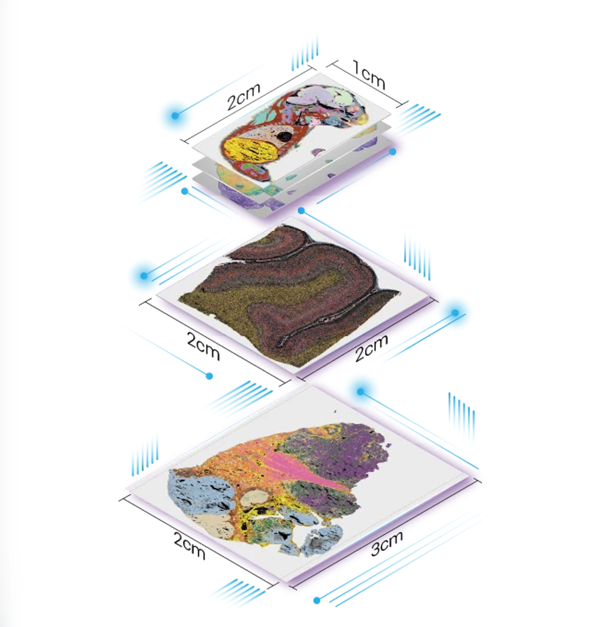 iShot_2026-01-07_17.27.34