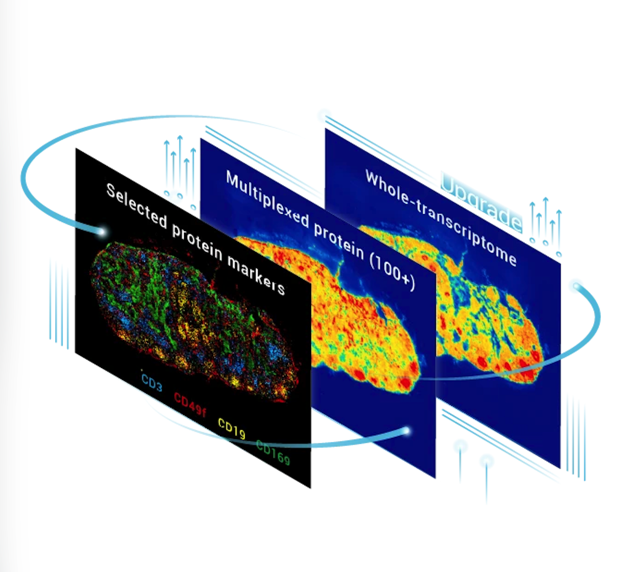 iShot_2026-01-07_17.27.43