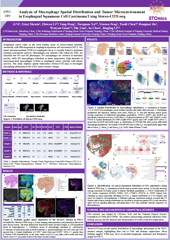 Analysis of Macrophage Spatial Distribution and Tumor Microenvironment in Esophageal Squamous Cell Carcinoma Using Stereo-ClTE-seq