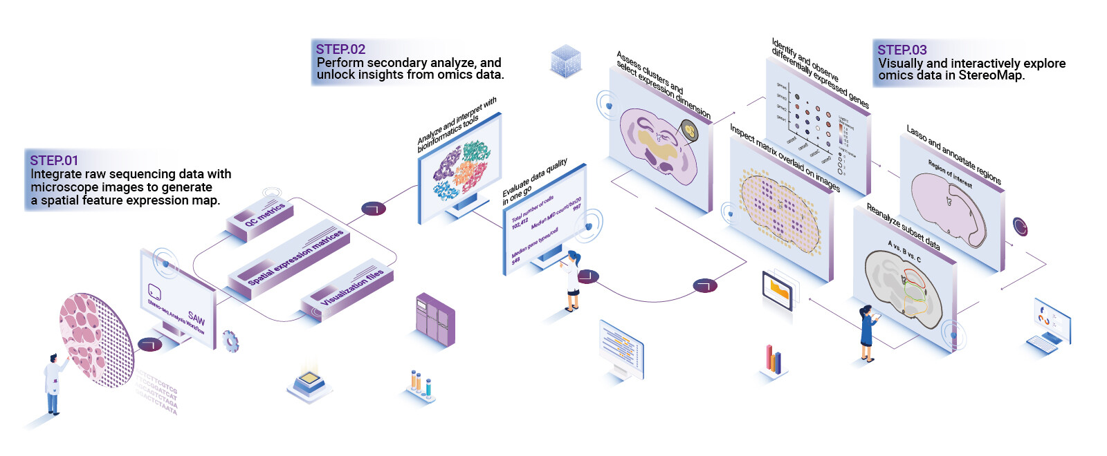 Spatial Omics Investigation: From Sequencing to Visualization