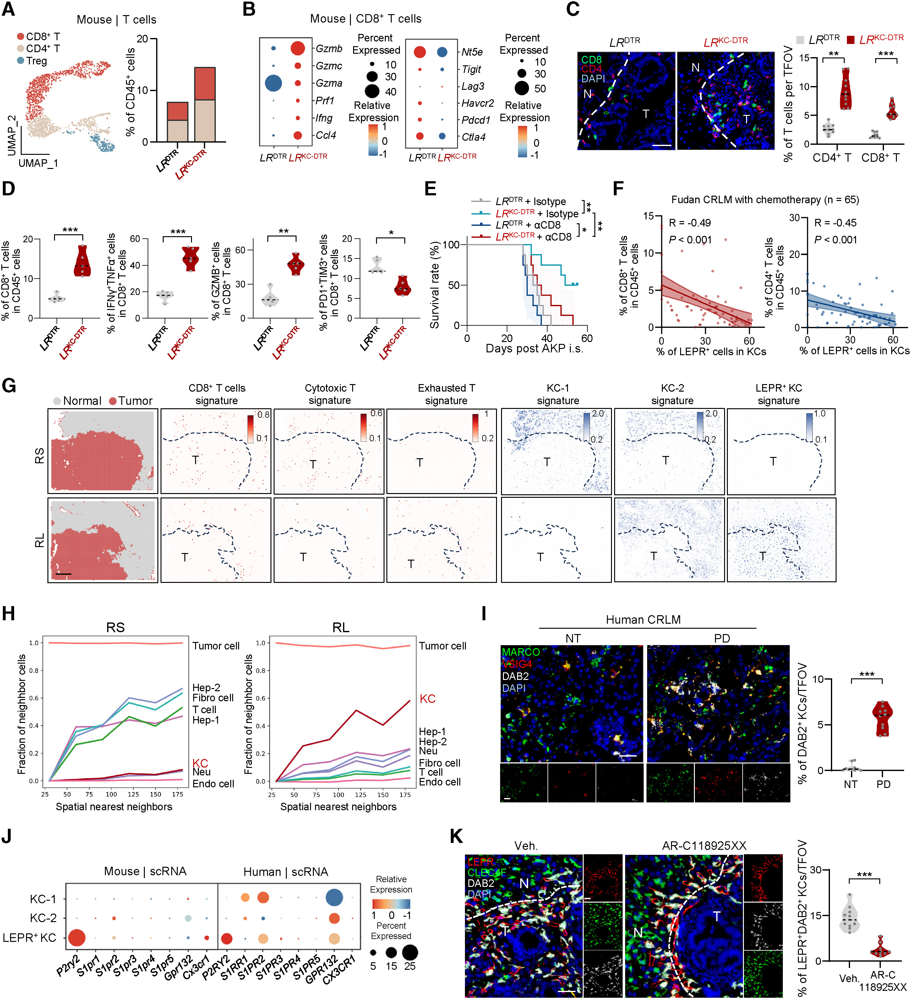 微信图片_20260415141428_368_8