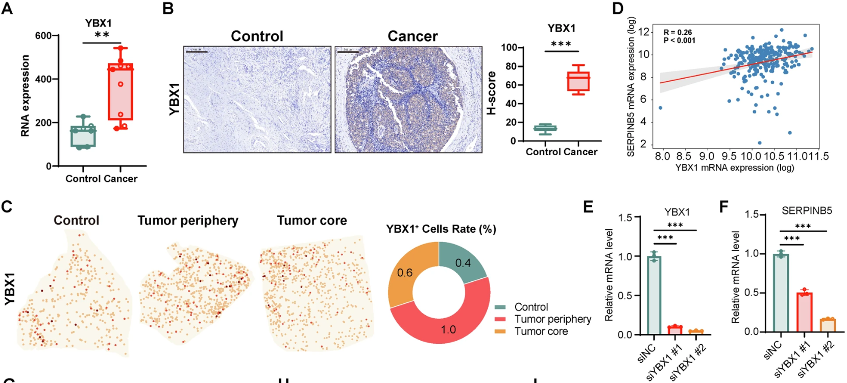微信图片_20260423101119_390_8
