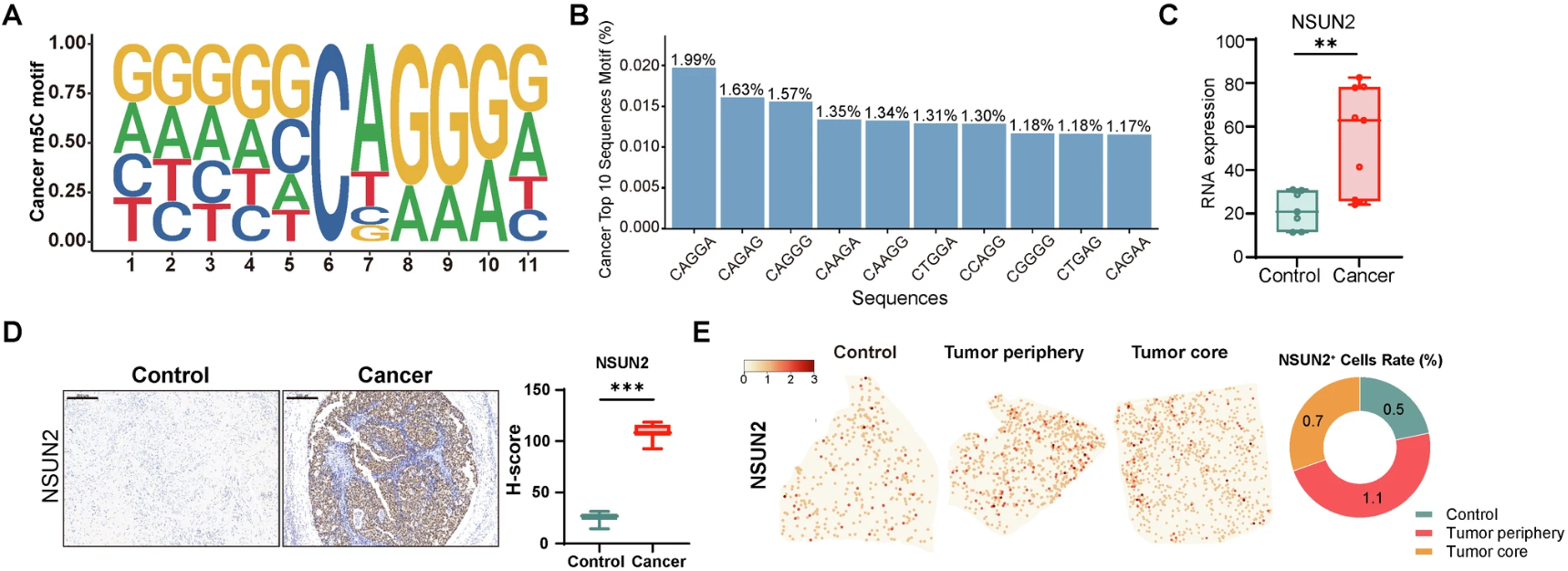 微信图片_20260423101119_391_8