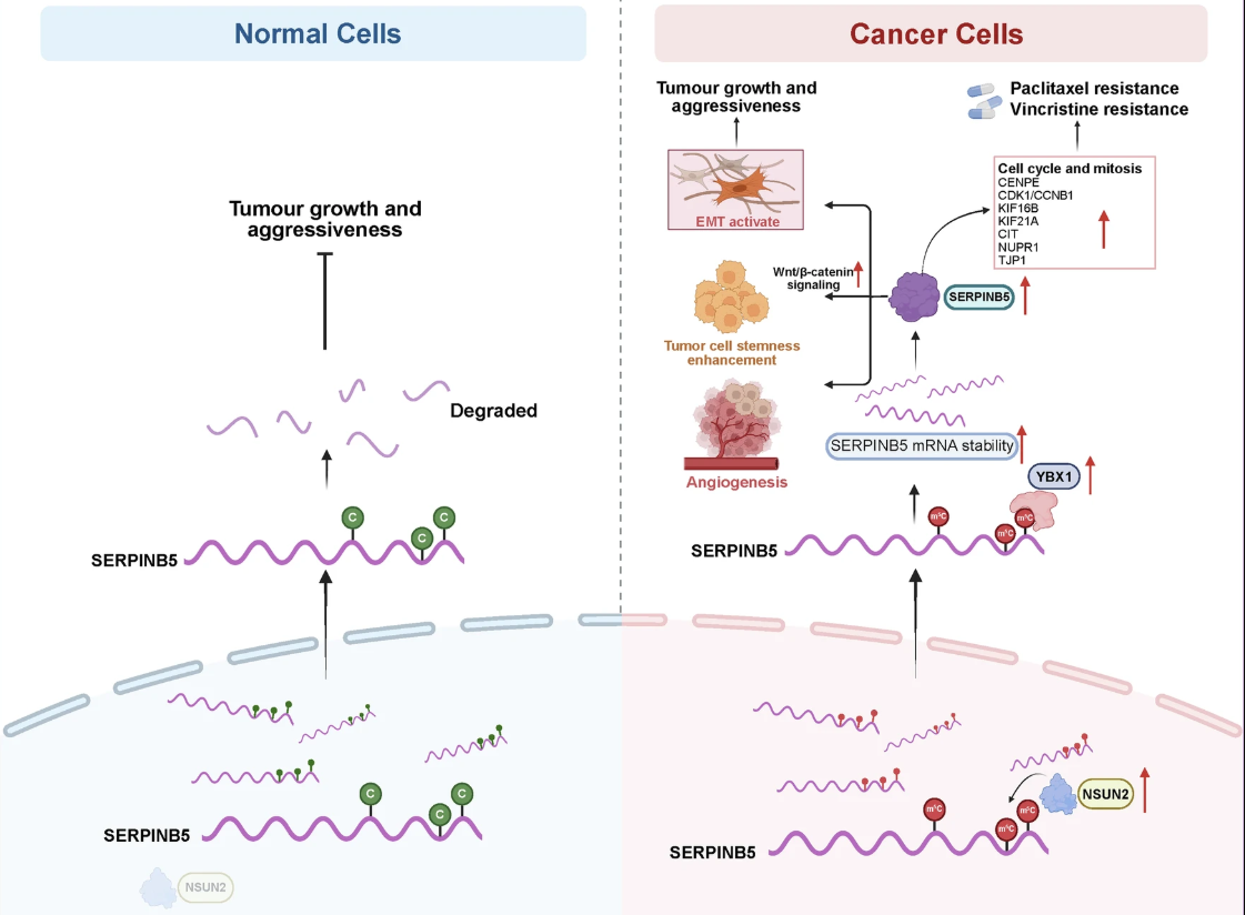 微信图片_20260423101119_392_8