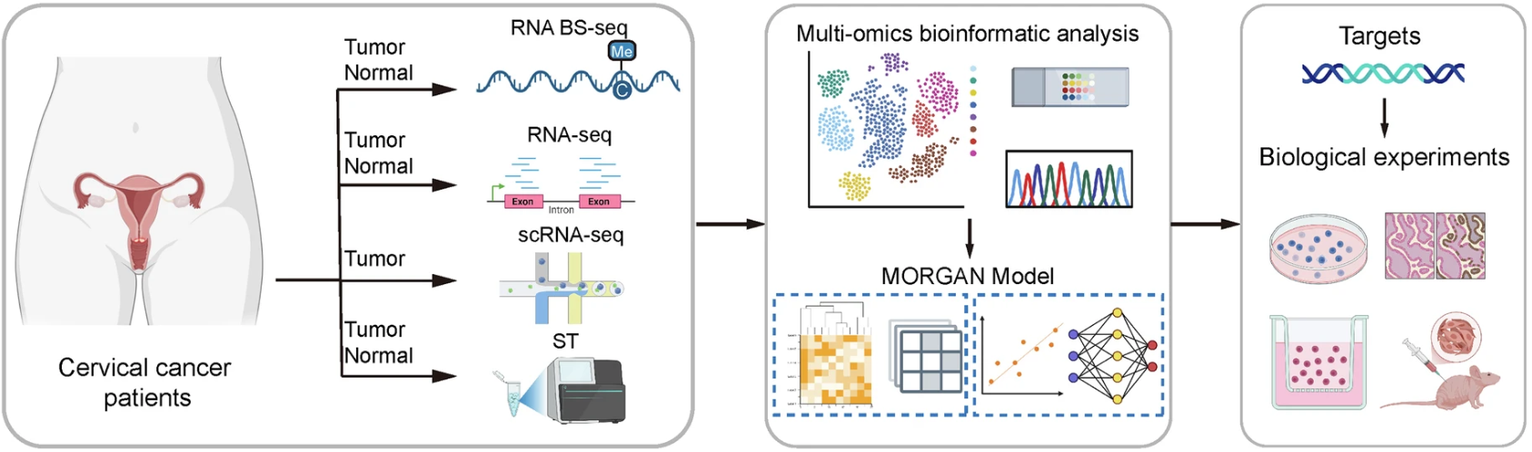微信图片_20260423101119_393_8