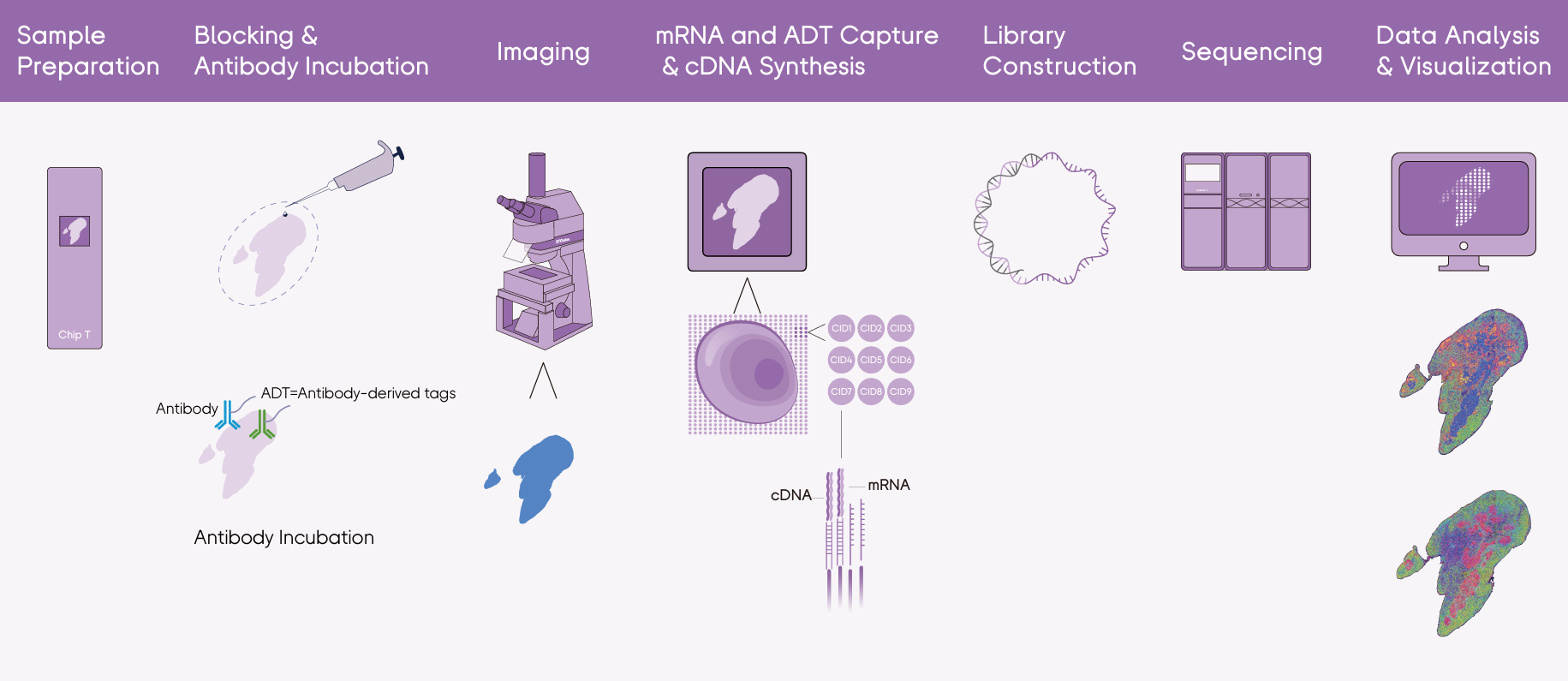 微信图片_20260429111551_410_8