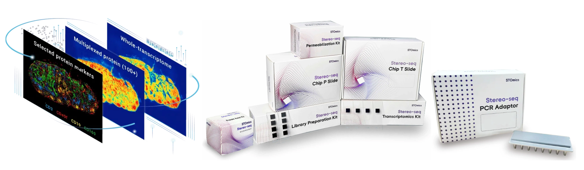 微信图片_20260429111752_413_8