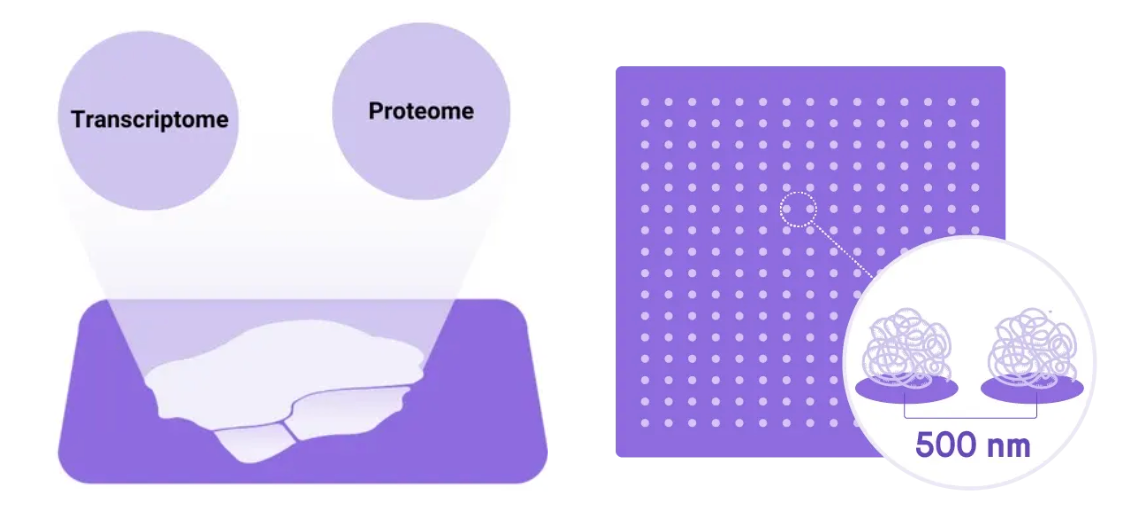 微信图片_20260429111801_414_8