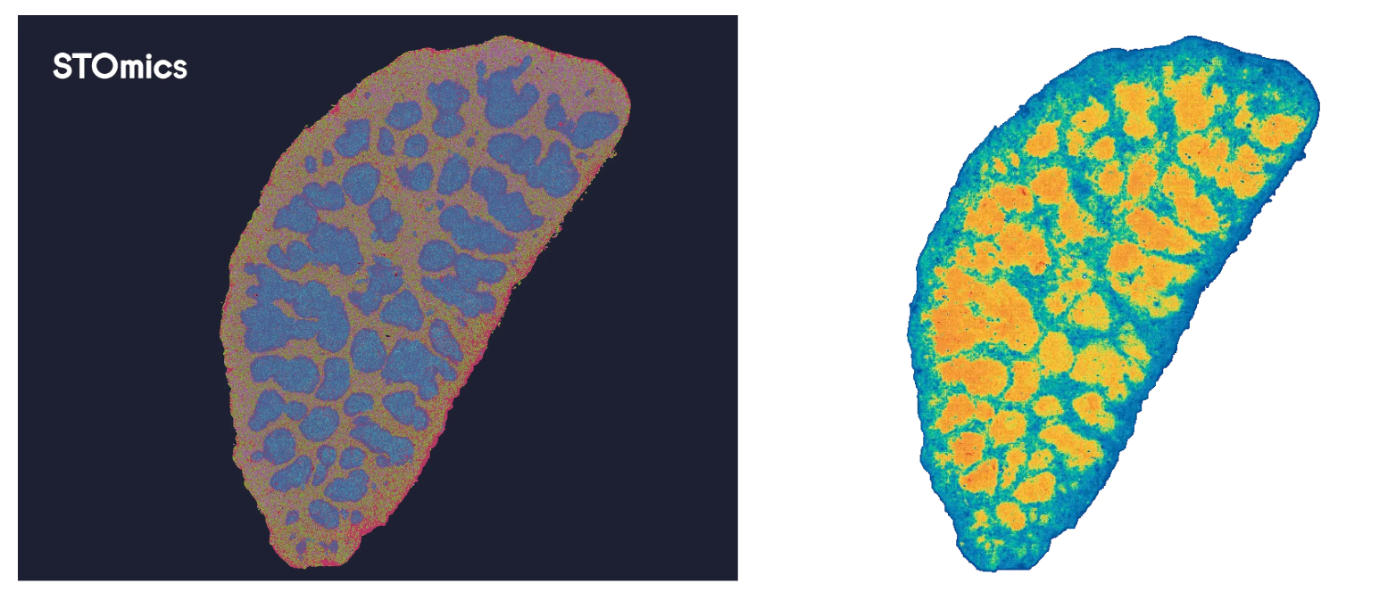 微信图片_20260429111810_415_8