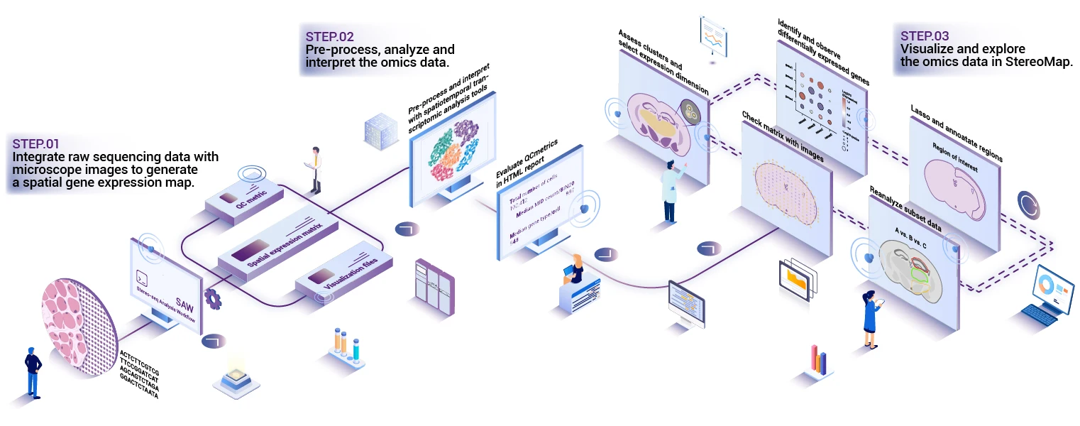 Spatial Omics Investigation: From Sequencing to Visualization